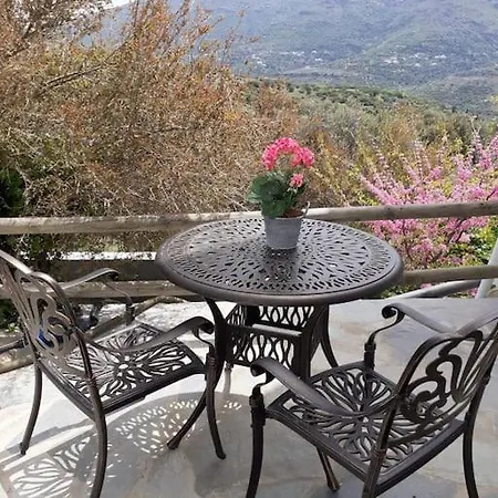 Flower House Tatil Evi *