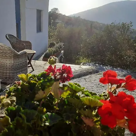 Tatil Evi Flower House Pitrofos