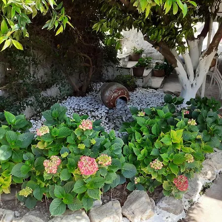 Flower House Holiday home *