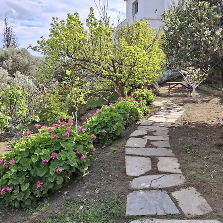 Casa de Férias Flower House