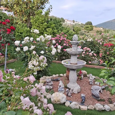 Flower House
