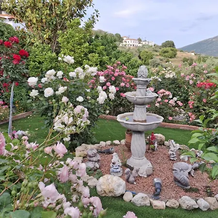 Flower House