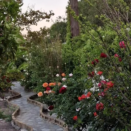 Flower House Ferienhaus