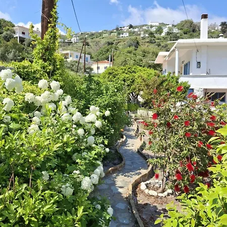 Holiday home Flower House