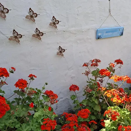 Flower House Πιτροφός