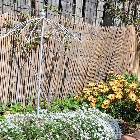 Flower House * Pitrofos