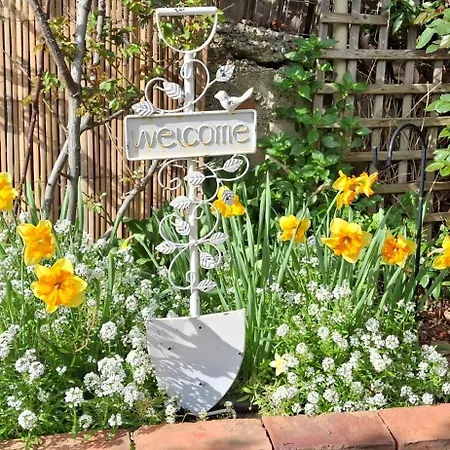 Ferienhaus Flower House *
