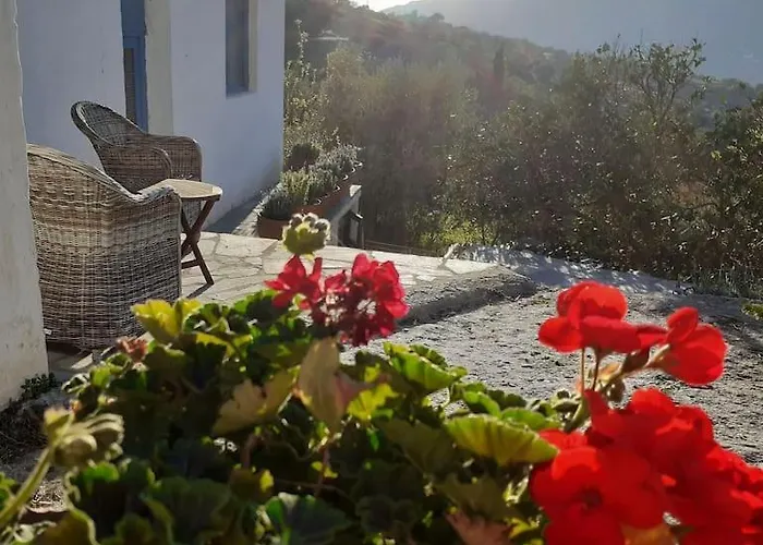 Tatil Evi Flower House Pitrofos