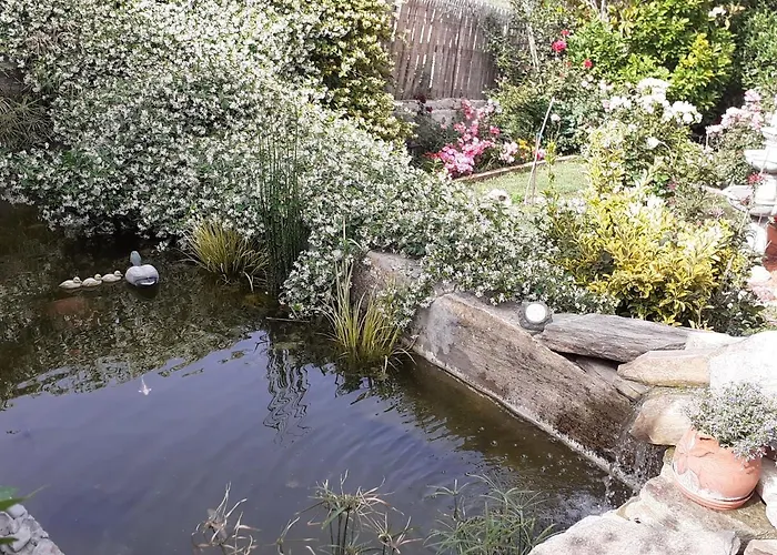 Flower House Tatil Evi