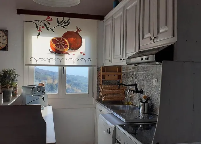 Tatil Evi Flower House *