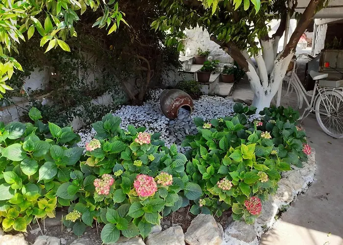 Flower House Tatil Evi *