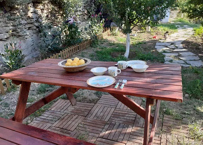 Flower House * Pitrofos