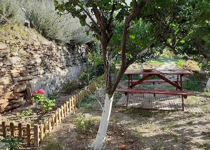 Tatil Evi Flower House Pitrofos