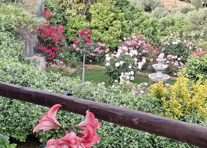 Flower House Tatil Evi