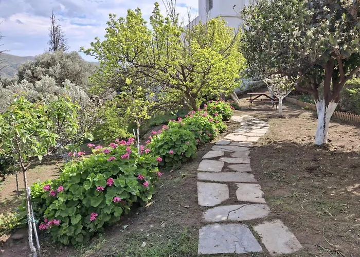 Tatil Evi Flower House