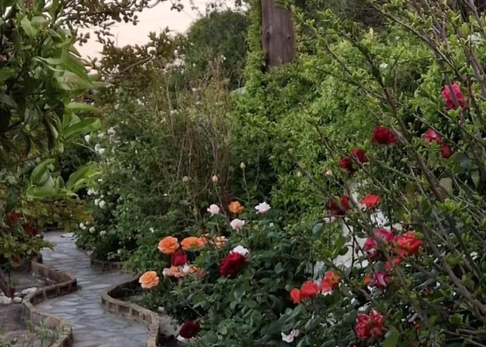 Flower House Tatil Evi