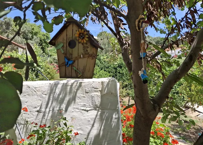 Tatil Evi Flower House *